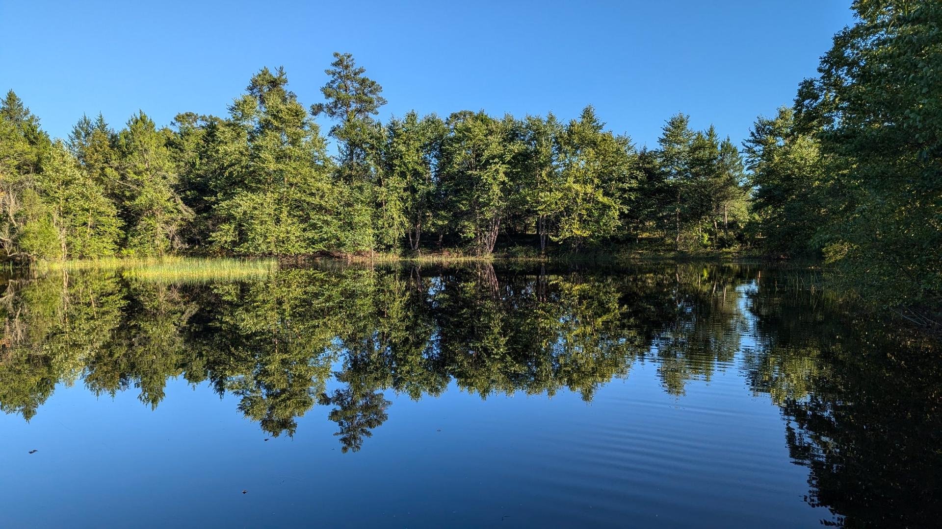 Budget deal’s $15 million in earmarks for Robin Vos’ district highlight politicization of Wisconsin’s conservation funding